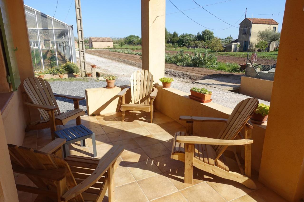 Gite Du Pagoulin - Gite Hyères Exterior foto